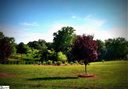 541 Buck Creek Road sold home in Chesnee, SC