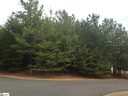 100 Houndsear Trail sold home in Spartanburg, SC