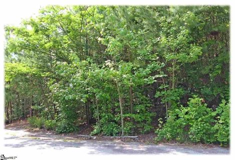 208 Lehman Moseley Ridge LOT 11 sold lot in Mountain Edge, Greenville, SC