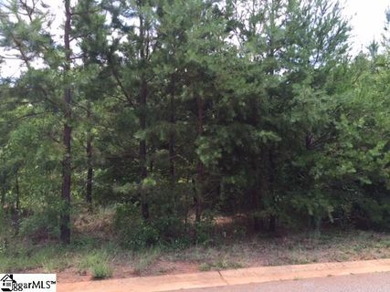717 S Tiger Lily Lane sold lot in South Tyger Crossing, Lyman, SC