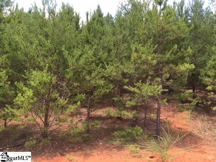 712 S Tiger Lily Lane sold lot in South Tyger Crossing, Lyman, SC