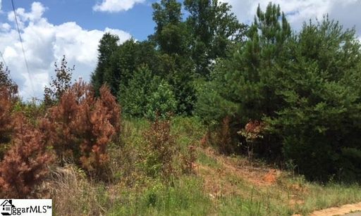 704 S Tiger Lily Lane sold lot in South Tyger Crossing, Lyman, SC