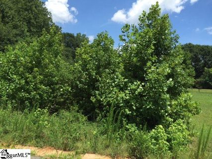 518 Bailey Crossing Drive sold lot in South Tyger Crossing, Lyman, SC