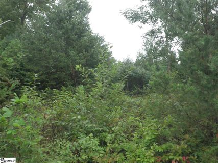 342 Woodmere Drive Lot 65