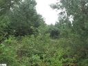 342 Woodmere Drive Lot 65 sold home in Pickens, SC
