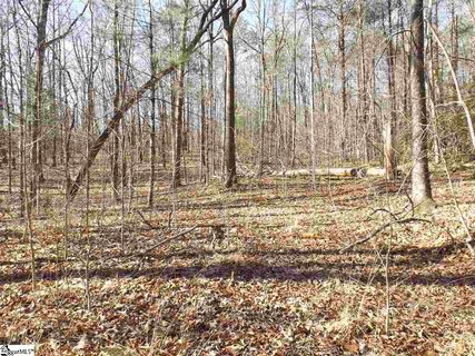 Tract 6 And 7 Mountain Ridge Estates Road lot 6 and 7  Shepherd Springs
