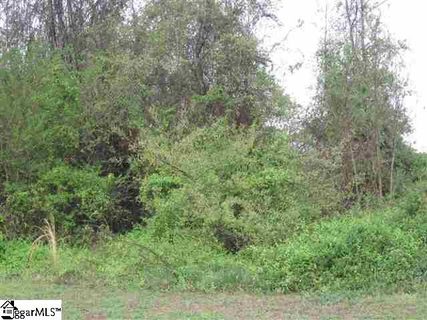 104 Muscadine Lane sold lot in Birch Meadow, Piedmont, SC