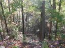 0 Old Rockhouse Road Lot 11 sold home in Greenville, SC