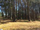 309 Meadow Tree Court sold home in Travelers Rest, SC