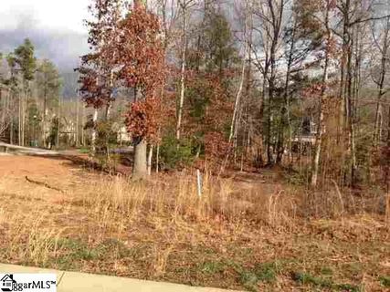 0 Allegheny Run Lot 24 sold lot in Allegheny, Simpsonville, SC