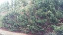 218 Barry Drive sold home in Greer, SC