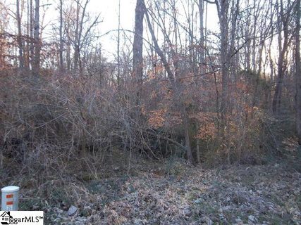 000 Pearson Town Road