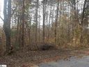 0 S Plainview Drive sold home in Greenville, SC