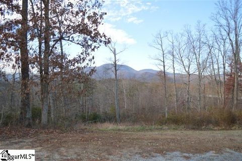 2 James Walker Lane sold home in Gowans Fort, Landrum, SC