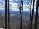 Cliffsview Court sold home in Zirconia, SC