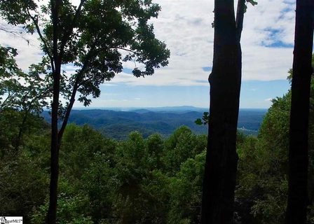 1000 Mountain Summit Road