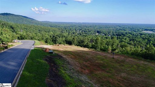6 Tropicana Court Lot 1 sold lot in City Lights, Greenville, SC