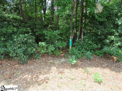 209 Club Terrace Drive sold lot in Little Bald Rock Club, Cleveland, SC