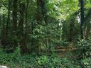 0 Sweetgum Road sold home in Greenville, SC