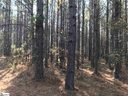 872 Dunklin Bridge Road sold home in Fountain Inn, SC