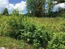 230 Lions Park Road sold home in Marietta, SC