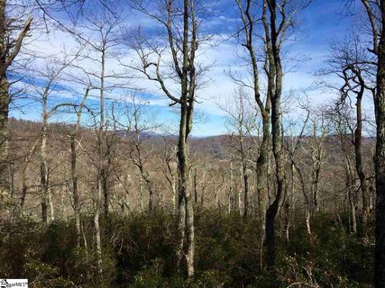 Spruce Lane