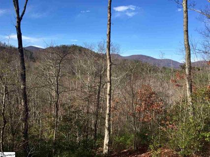 35 White Fox Trail