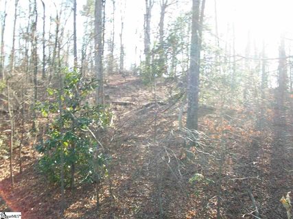 109 Muirwood Drive sold lot in Knollwood, Mauldin, SC