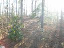 109 Muirwood Drive sold home in Mauldin, SC