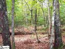 Curts Way sold home in Cleveland, SC