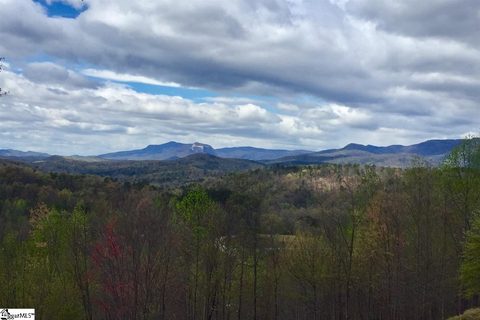 Blue Bonnet Trail