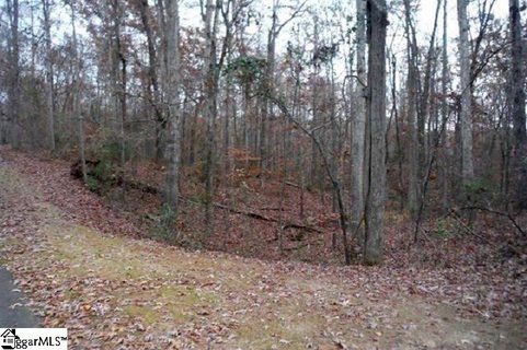 00 Pintail Road Lots 1 & 2 sold lot in Pintail Pointe, Anderson, SC