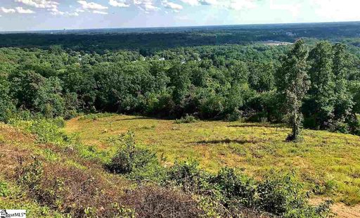 18 Tropicana Court Lot 3 sold lot in City Lights, Greenville, SC