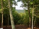 203 Blue Spruce Trail sold home in Marietta, SC