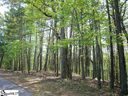 22 Rhone Valley Lane sold home in Travelers Rest, SC