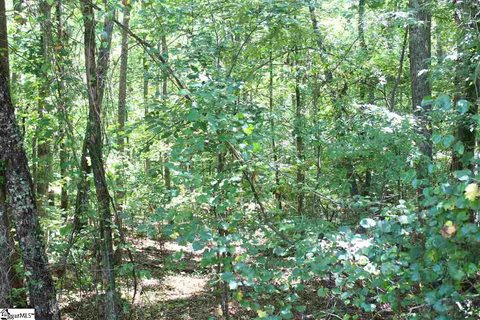 1426 Hunters Trail