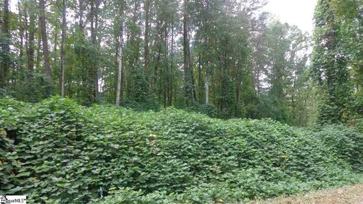 00 Forest Drive