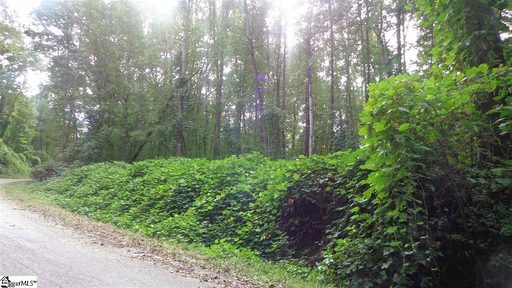 0 Forest Drive
