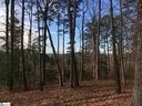501 Augusta Links Trail sold home in Travelers Rest, SC