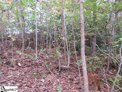329 Woodmere Drive Lot 97 sold home in Woodmere, Pickens, SC