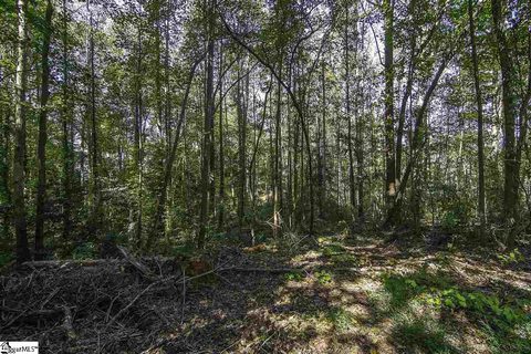 17 Sugarberry Drive sold home in Dove Tree, Greenville, SC