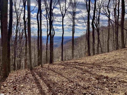 1347 Panther Park Trail
