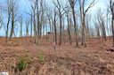 7 Ridley Piper Lane Lot 11 sold home in Greenville, SC