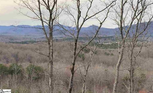 1 Placid Cove sold lot in Pack Ridge, Taylors, SC
