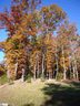 238 Luberon Lane sold home in Travelers Rest, SC