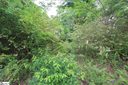Hawthorne Avenue Lot 175 sold home in Woodruff, SC