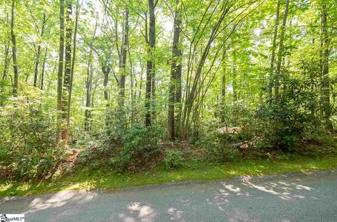 314 Mountain Laurel Drive