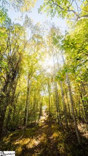 109 Belk Road sold lot in Burban Creek Plantation, Travelers Rest, SC