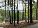 Sue Craig Road Lot 7 sold home in Six Mile, SC