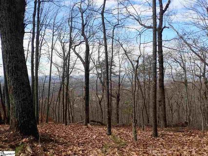 00 Altamont Road Lot 5.01